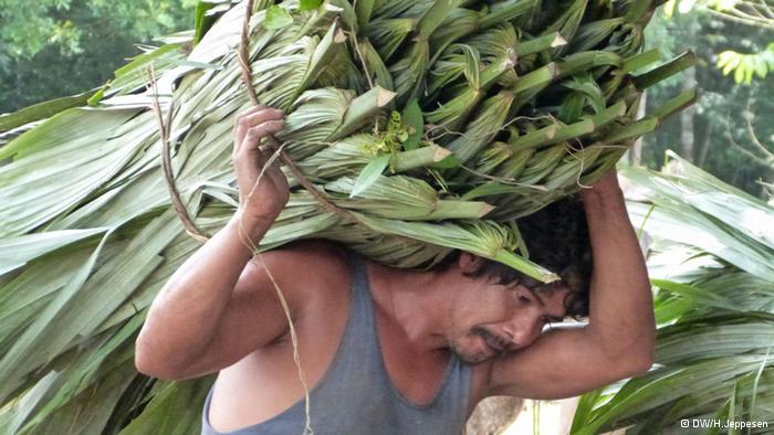 Locals help protect Guatemala's rare forests