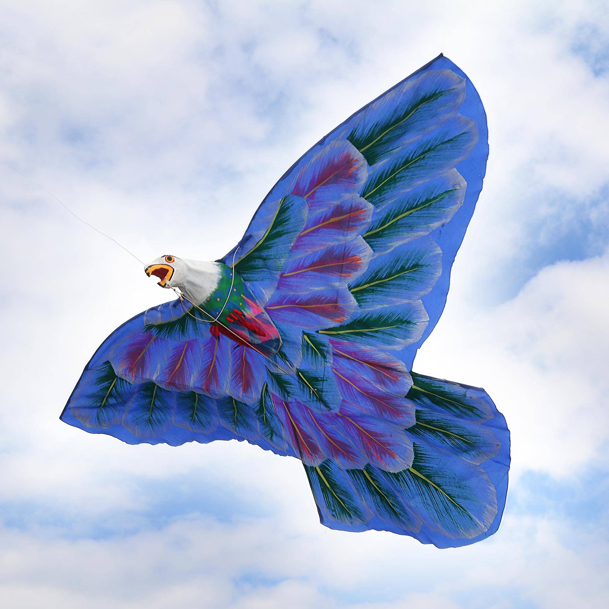 Featured image of post Peacock Design Kite / Kites are tethered flying objects which fly by using aerodynamic lift, requiring wind (or towing) for generation of airflow over the lifting surfaces.