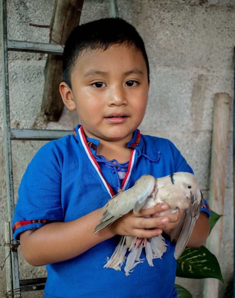 Mayra's son, Gabriel with his pigeon